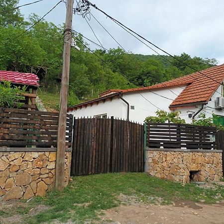 Sasca MontanăAndrei别墅 外观 照片