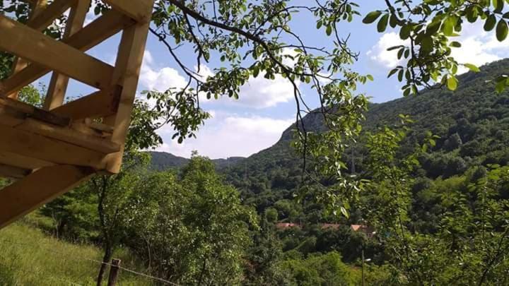 Sasca MontanăAndrei别墅 外观 照片