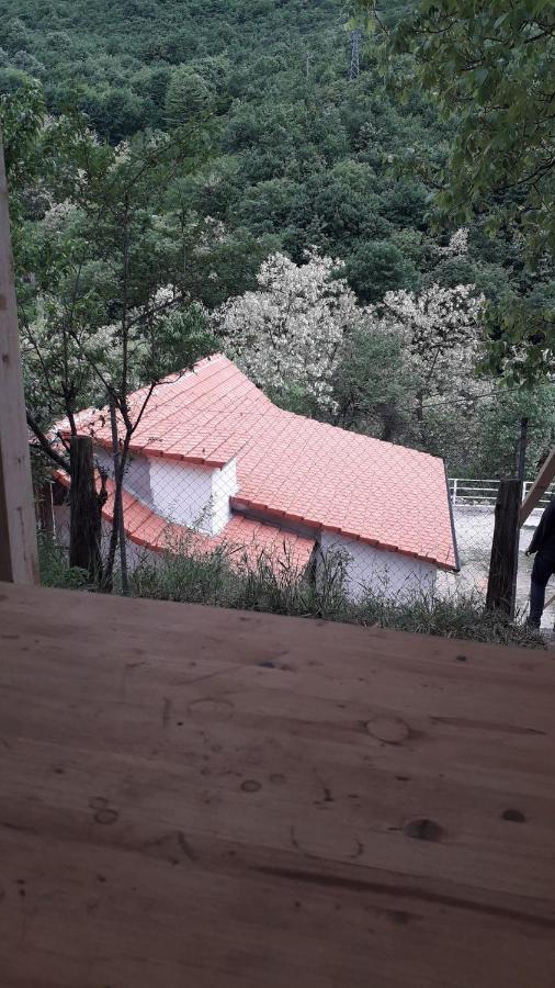 Sasca MontanăAndrei别墅 外观 照片