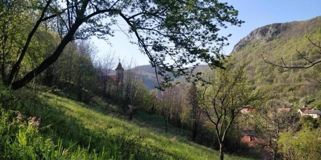 Sasca MontanăAndrei别墅 外观 照片