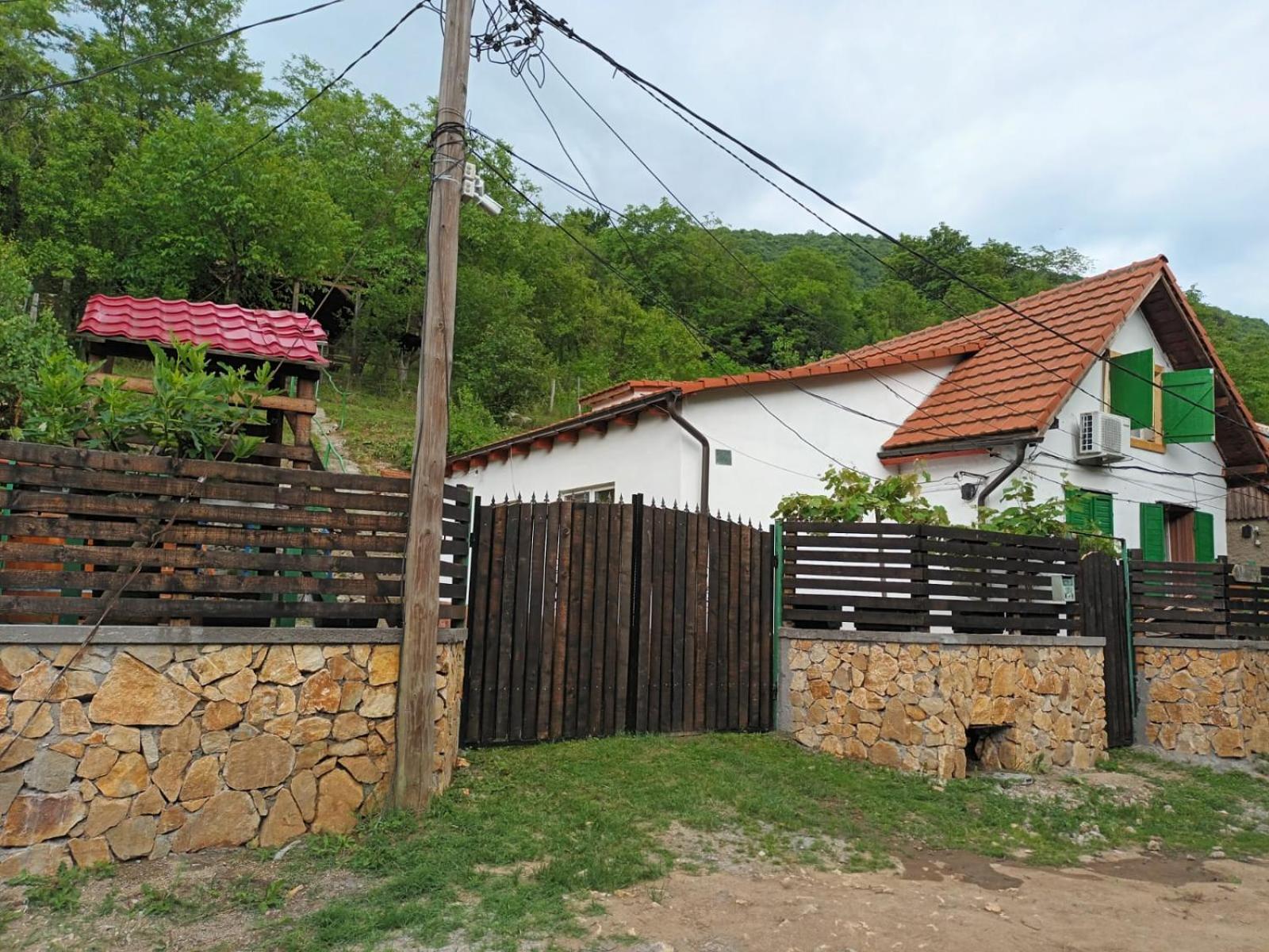 Sasca MontanăAndrei别墅 外观 照片
