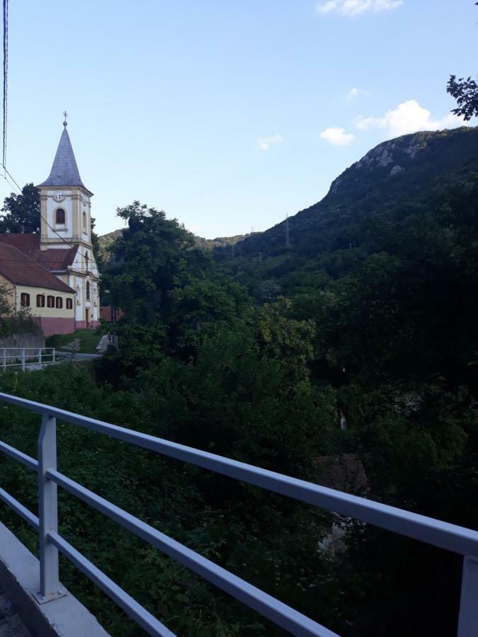 Sasca MontanăAndrei别墅 外观 照片